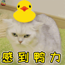 压力促使糖尿病