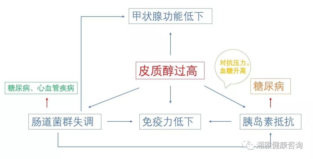 压力促使糖尿病-中南大学湘雅三医院健康管理中心